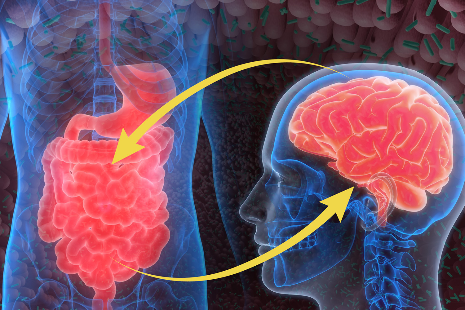 Ellen G. White and the Gut-Brain Connection