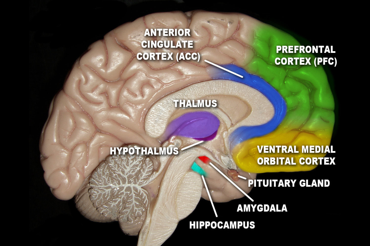 How TV and an Angry, Wrathful God Damage Your Brain