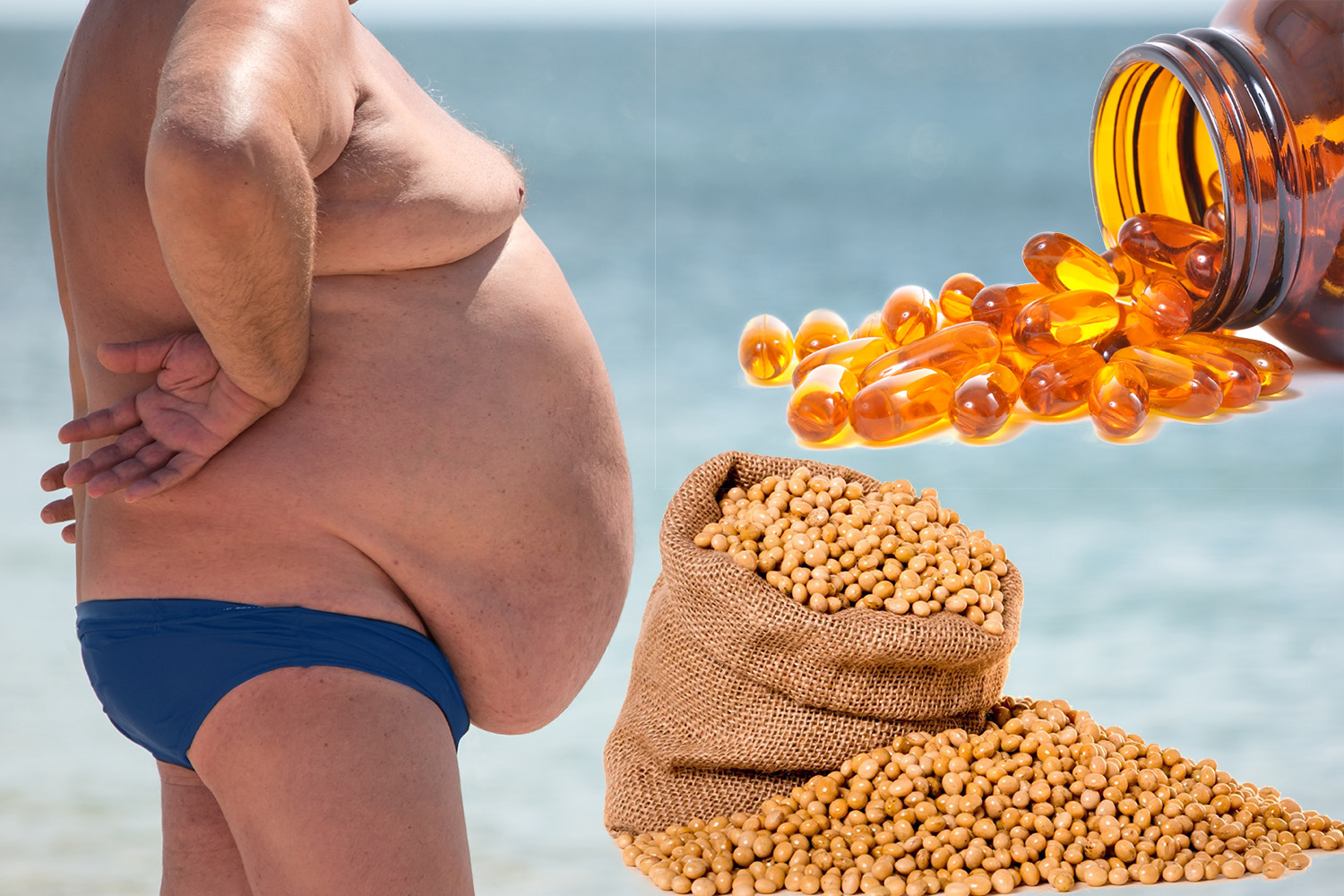 Soy Beans, Fish Oil and Obesity